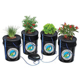 Alfred - DWC (Deep Water Culture) 5 Gallon Buckets 4 Plant System Kit