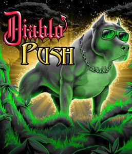 Diablo Nutrients - Push Fertilizer - 250mL