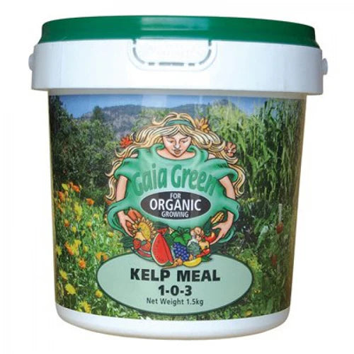 Gaia Green - Kelp Meal - 2kg