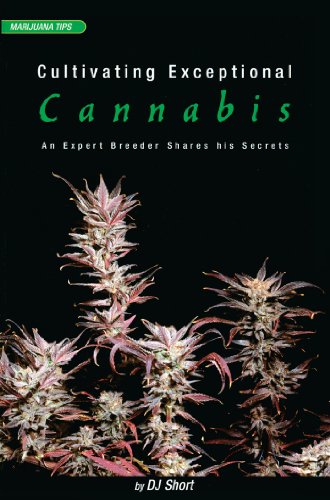 Cultivating Exceptional Cannabis: An Expert Breeder Shares His Secrets (Marijuana Tips Series